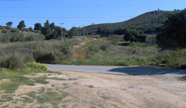 Οικόπεδο - Plot